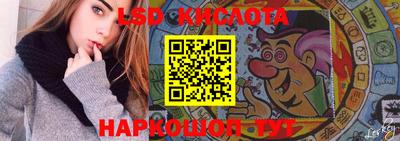 PSILOCYBIN Ярославль