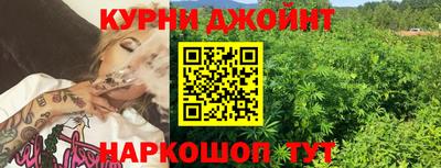 PSILOCYBIN Ярославль