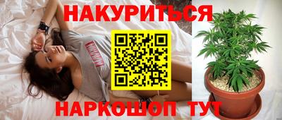 PSILOCYBIN Ярославль